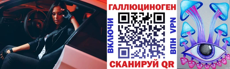 Псилоцибиновые грибы Psilocybe  где купить   Шумерля 