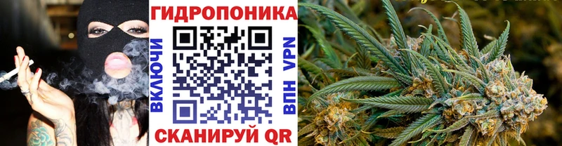 Бошки Шишки марихуана  KRAKEN tor  Шумерля 